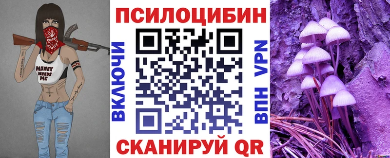 цены   Спас-Клепики  Галлюциногенные грибы прущие грибы 